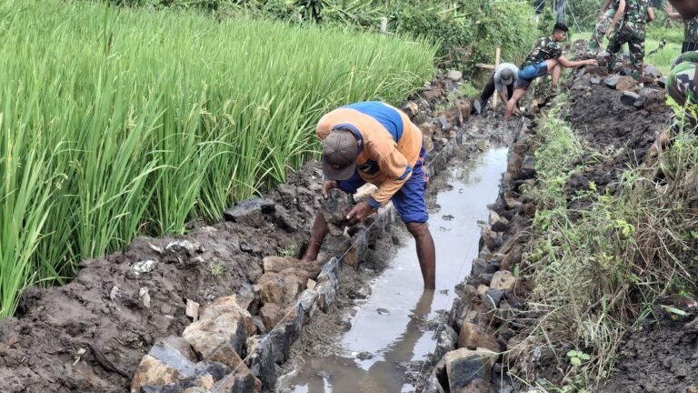 Gotong Royong TNI dan Warga Bangun Saluran Irigasi Demi Masa Depan Pertanian Siliragung
