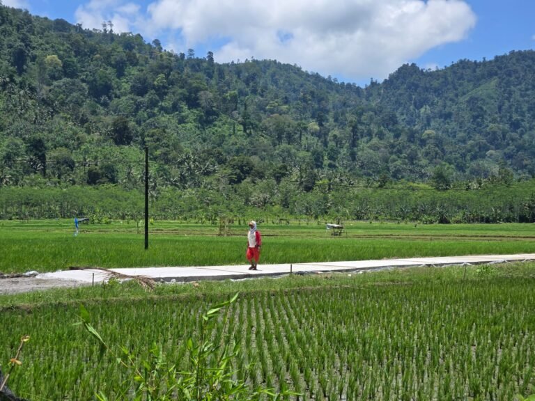 Proyek pengecoran jalan rabat beton yang menjadi sasaran fisik utama telah mencapai progres 50% dan sebagian sudah dapat digunakan