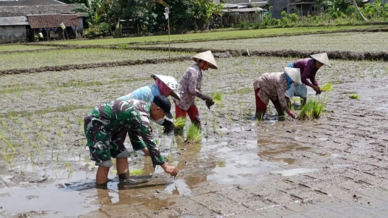 kebersamaan antara anggota Satgas TMMD ke-126 dan warga setempat