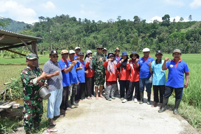 Momentum penting dalam memperkuat sinergi antara TNI dan masyarakat. Dandim 0818/Malang-Batu, Letkol Czi Bayu Nugroho, sebagai Dansatgas TMMD Ke-126, memimpin langsung pelaksanaan pemupukan padi bersama kelompok tani di Desa Lebakharjo Kecamatan Ampelgading Kabupaten Malang