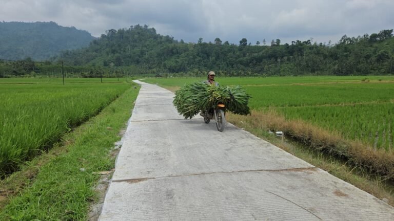 rogram TNI Manunggal Membangun Desa (TMMD) ke-126 Kodim 0818/Malang-Batu terus memberikan manfaat nyata bagi masyarakat pedesaan. Salah satu hasil kerja keras Satgas TMMD bersama warga adalah pembangunan rabat beton di jalan usaha tani Dusun Sukomaju