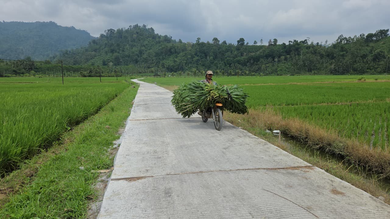 rogram TNI Manunggal Membangun Desa (TMMD) ke-126 Kodim 0818/Malang-Batu terus memberikan manfaat nyata bagi masyarakat pedesaan. Salah satu hasil kerja keras Satgas TMMD bersama warga adalah pembangunan rabat beton di jalan usaha tani Dusun Sukomaju