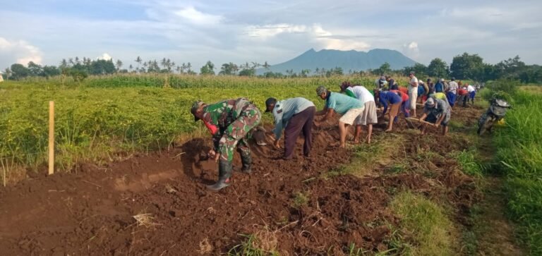 Babinsa Desa Sumberkencono Laksanakan Giat Bhakti TNI di Lokasi Persawahan