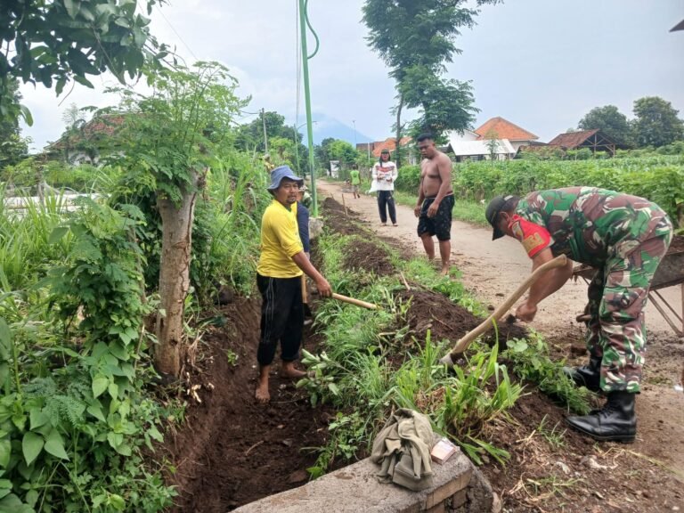 Gotong Royong Babinsa–Warga Sidowangi Bangun Selokan, Sekaligus Tanam Sirsak hingga Sakura