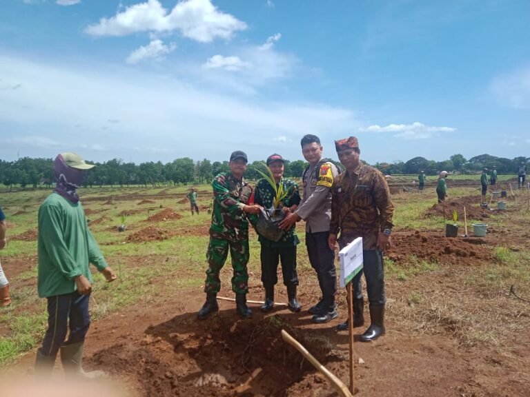 Tanam Kelapa Genjah di Kebun Pasewaran, Langkah Awal Hilirisasi dari Wongsorejo