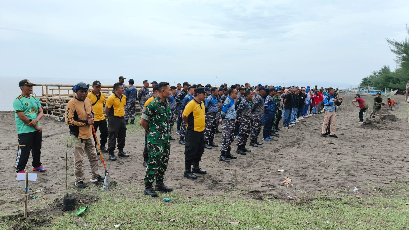 🌱 Tanam Cemara hingga Lepas Rumah Apung, Aksi Kolaborasi Jaga Pantai Bimorejo Banyuwangi