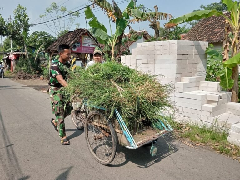 Aksi Kecil Penuh Makna: Prajurit TMMD Ke-127 Bantu Warga Dorong Gerobak