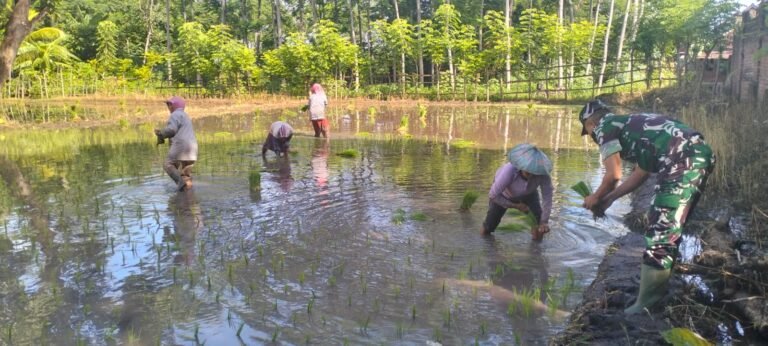 Satgas TMMD Ke-128 Kodim 0820 Melakukan Pendampingan Kepada Kelompok Petani